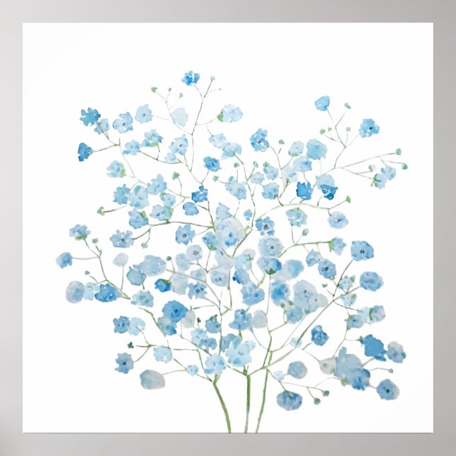 Póster azul claro Baby Breath Bouquet gypsophila (Frente)