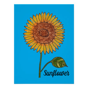 Póster Azul de girasol