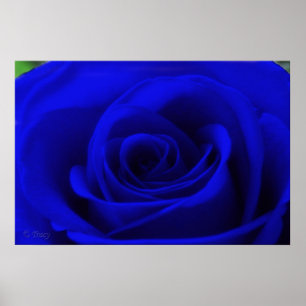 Póster Azul de medianoche