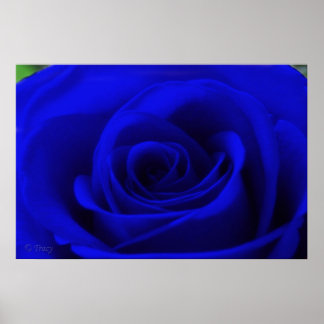 Póster Azul de medianoche