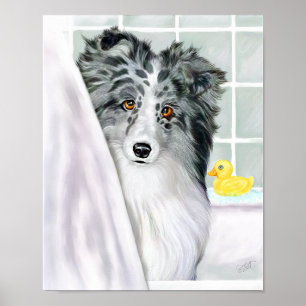 Póster Azul del BI del baño de Sheltie