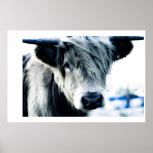 Póster Azul Highland