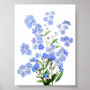 Póster azul no me olvides de la acuarela