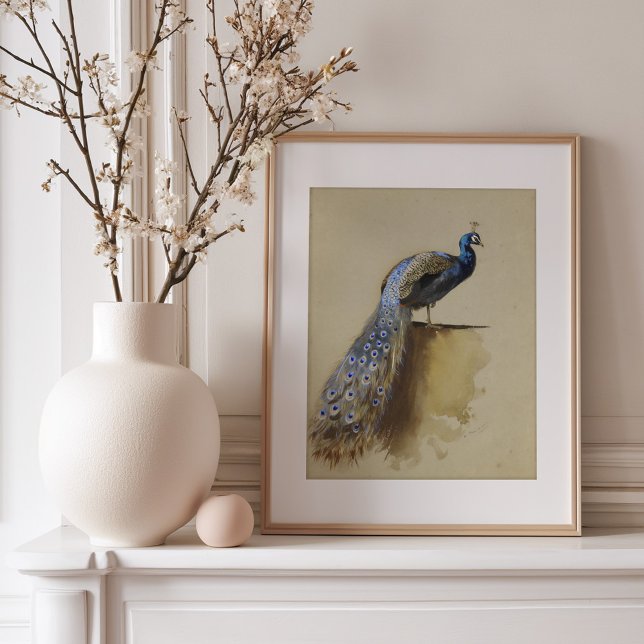 Póster Azul pavo real | Archibald Thorburn (Subido por el creador)