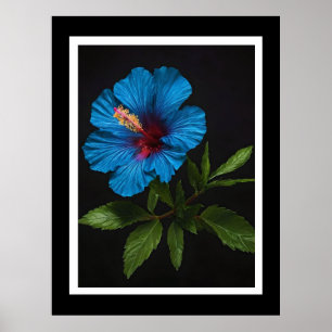 Póster "Azul radiante: Hibiscus Flower Against On Black