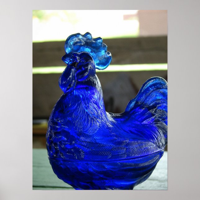 Póster Azul Roo (Frente)