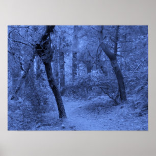 Póster Azules del bosque