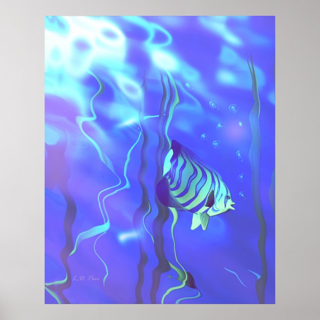 Póster Azules Pez Ángel (Frente)