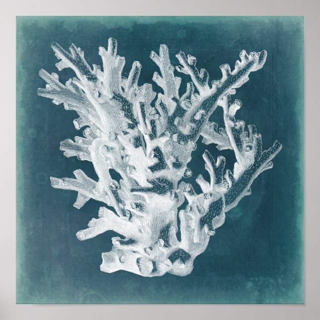 Póster Azure Coral I (Frente)