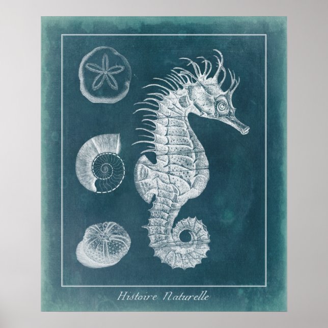Póster Azure Seahorse Study I (Frente)