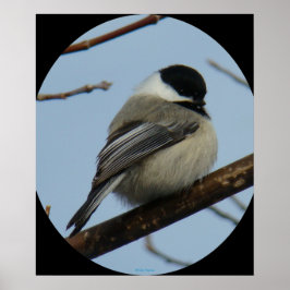 Póster B43 Chickadee con tapa negra