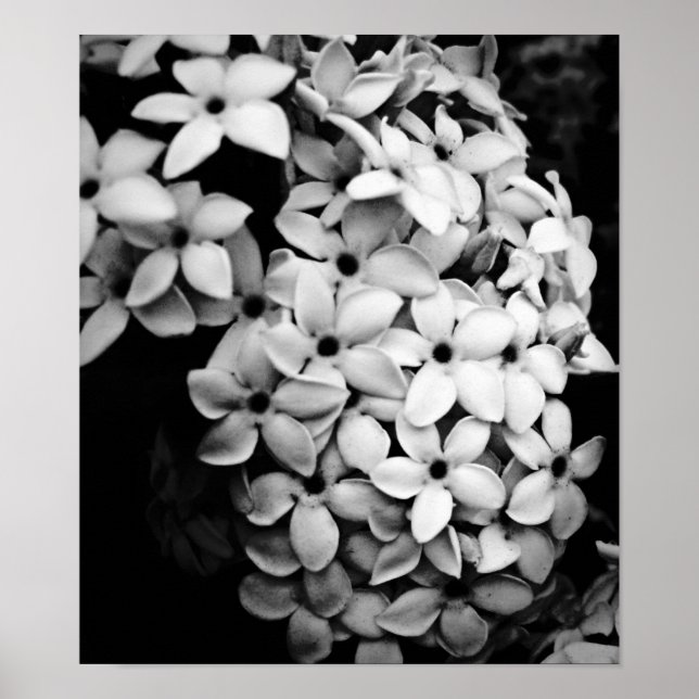 PÓSTER B&W (Frente)