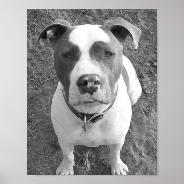 Póster B/W Chevy (Frente)