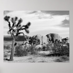 Póster B&W Joshua Tree National Park