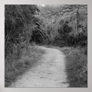 Póster B&W Wooded Path