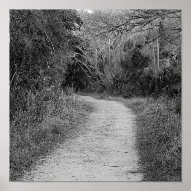 Póster B&W Wooded Path (Frente)