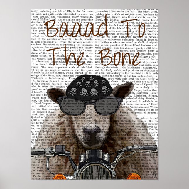 Póster Baaad to the Bone (Frente)