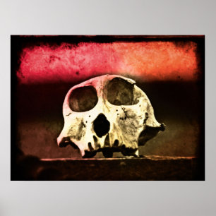 Póster Baboon Skull Sunset Art