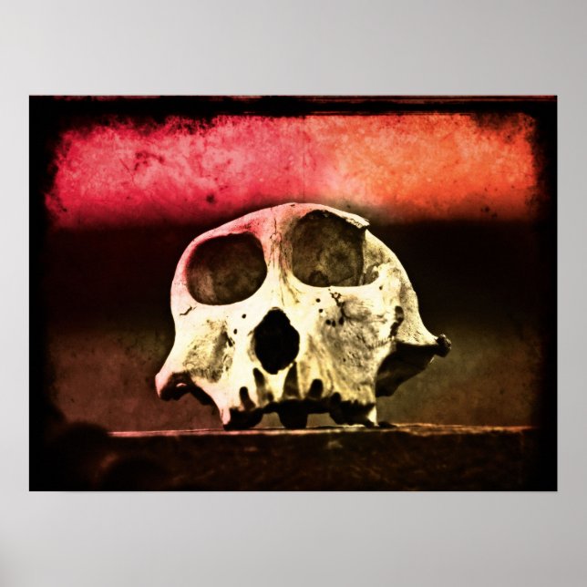 Póster Baboon Skull Sunset Art (Frente)