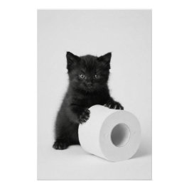 Póster Baby Black Kitten Guarding Toilet Paper Roll On