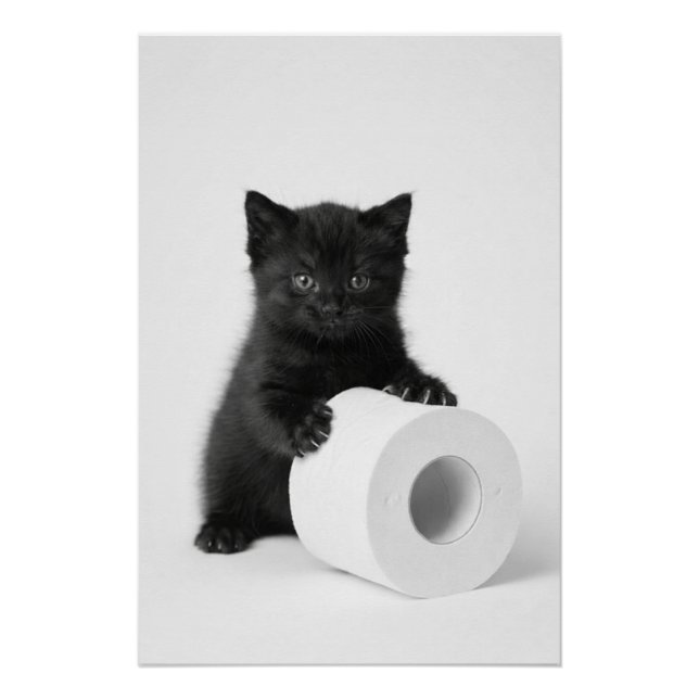 Póster Baby Black Kitten Guarding Toilet Paper Roll On (Anverso)