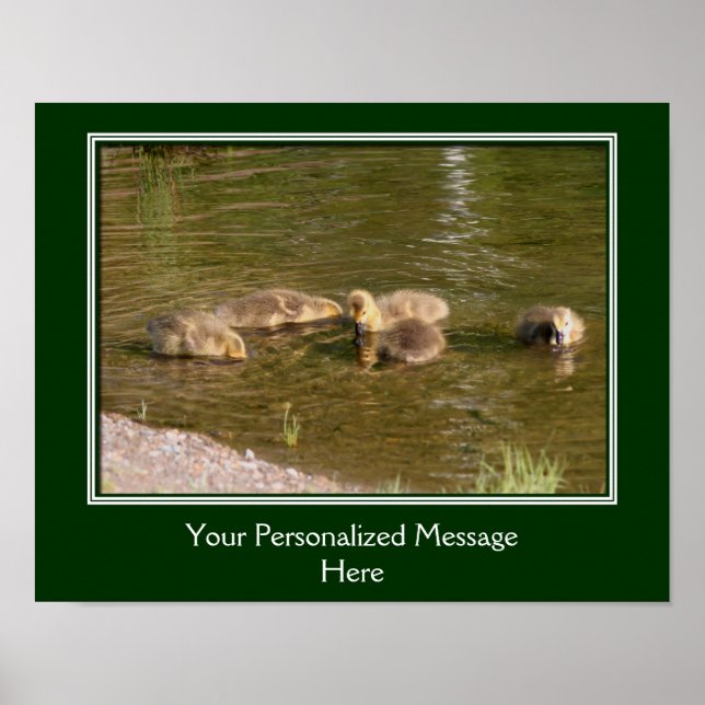 Póster Baby Canada Gots Goslings Crea Tu Propio (Frente)