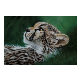 Póster Baby Cheetah Fine Art Print 71x47cm