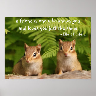 Póster Baby Chipmunk Friends cita a Poster
