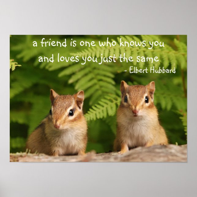 Póster Baby Chipmunk Friends cita a Poster (Frente)