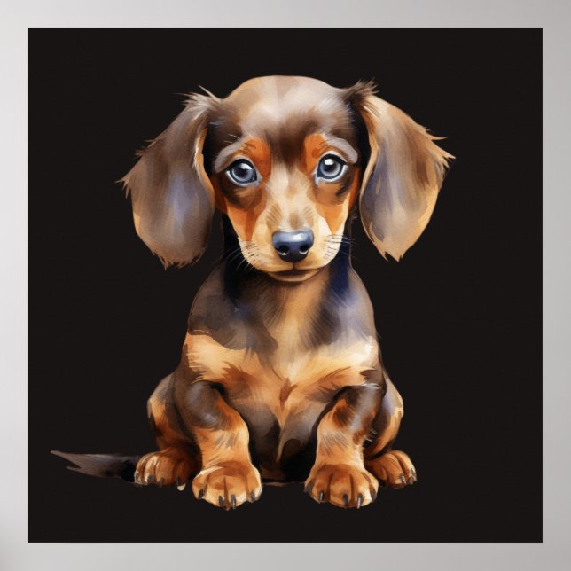 Póster Baby Dachshund (Frente)