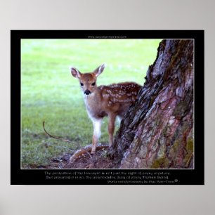 Póster Baby Deer Fawn Photo & Poem Poster