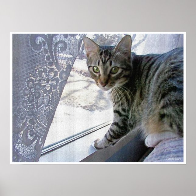 Póster Baby Max (Frente)