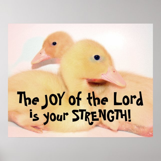 Póster Baby Pekin Duck Duckling Bird Mascota Animal (Frente)