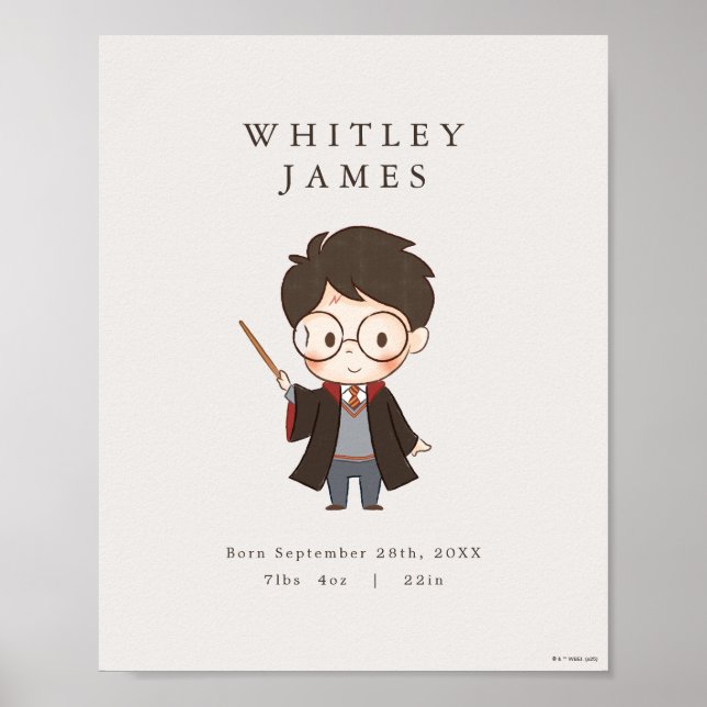 Póster Baby Shower de Harry Potter simple (Frente)