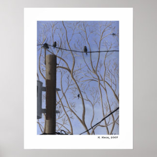 Póster Back Door View