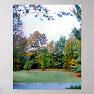 Póster Back Yard