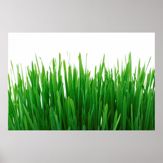 Póster Background close up flora fresh (Frente)