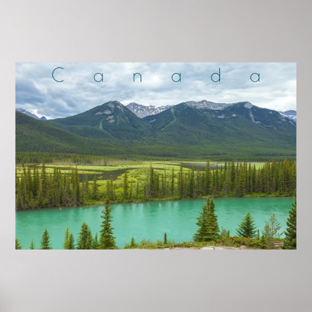 Póster Backswamp en Banff (Frente)