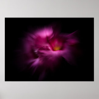 Póster Backyard Flowers No 2 Color Flow Version