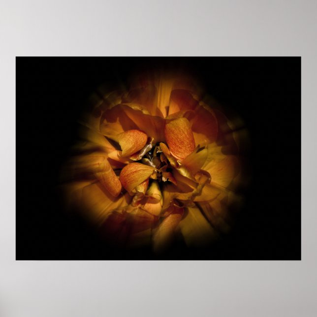 Póster Backyard Flowers No 80 Color Flow Version (Frente)