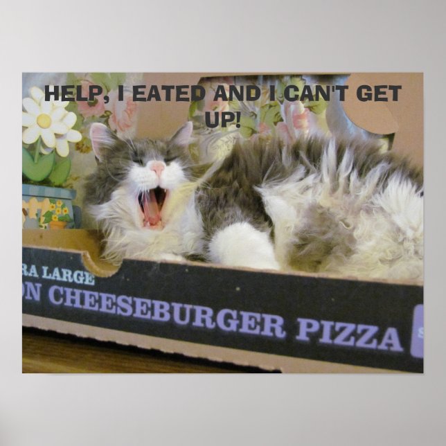 Póster Bacon Cheeseburger Pizza Sobredosis Kitty (Frente)