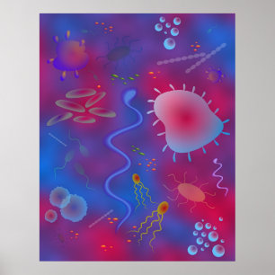Póster Bacteria