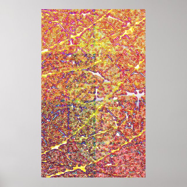 Póster Bacterio (Frente)