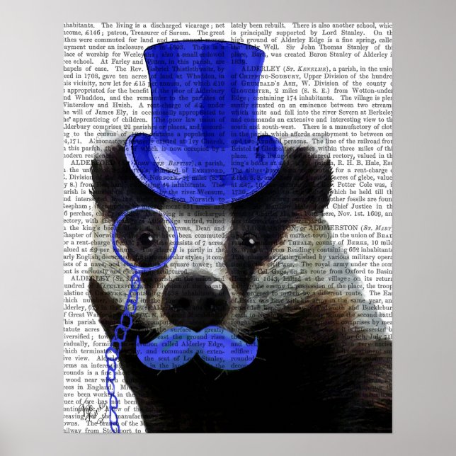 Póster Badger con sombrero azul superior y bigote (Frente)