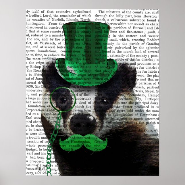Póster Badger con sombrero verde superior y bigote (Frente)