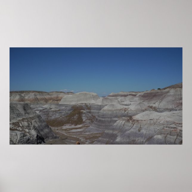 Póster Badlands de Petrified Forest (Frente)