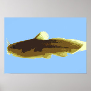 Póster Bagre Madtom Renacuajo