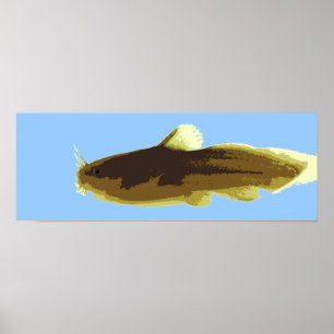 Póster Bagre Madtom Renacuajo