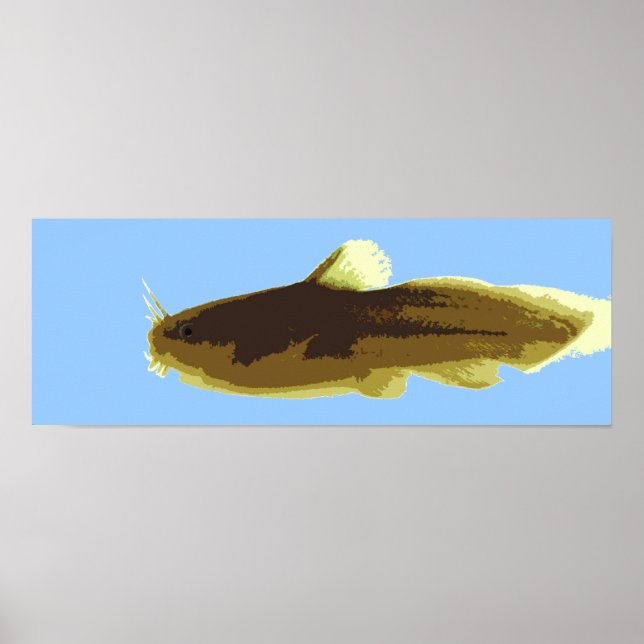 Póster Bagre Madtom Renacuajo (Frente)