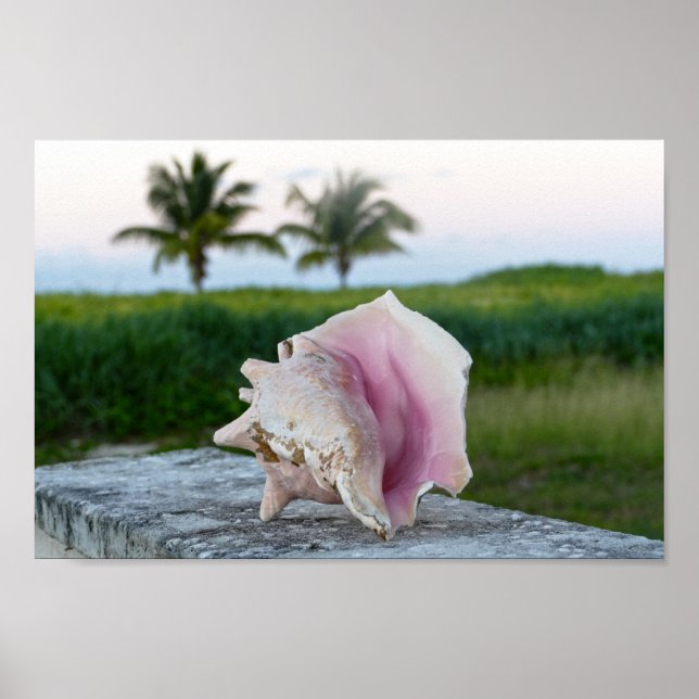 Póster Bahamas: El caparazón de la Reina en una pared (Frente)